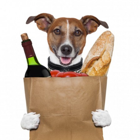 Non! Nous ne sommes pas des chiens.....